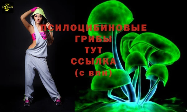 MDMA Краснослободск